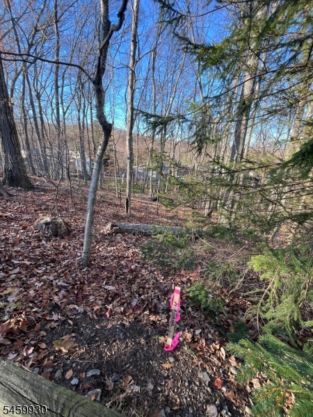 Mountain Rd Property Photo 1
