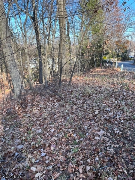 Mountain Rd Property Photo 2