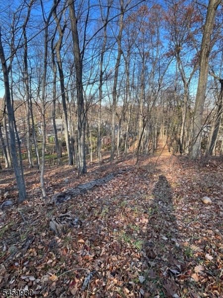Mountain Rd Property Photo 3