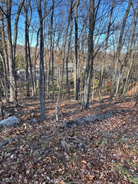 Mountain Rd Property Photo 4