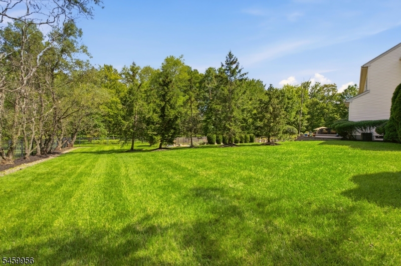 3 Longbow Ter Property Photo 41