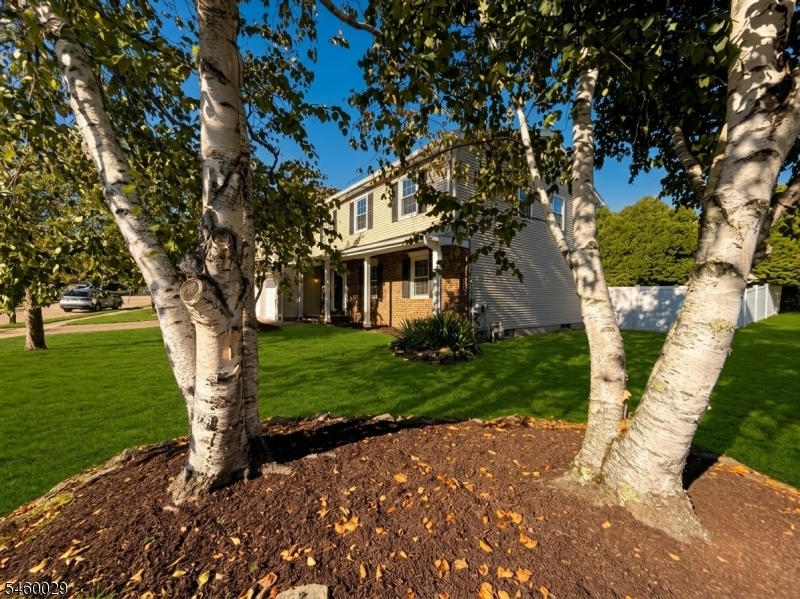 45 Holyoke Rd Property Photo 1