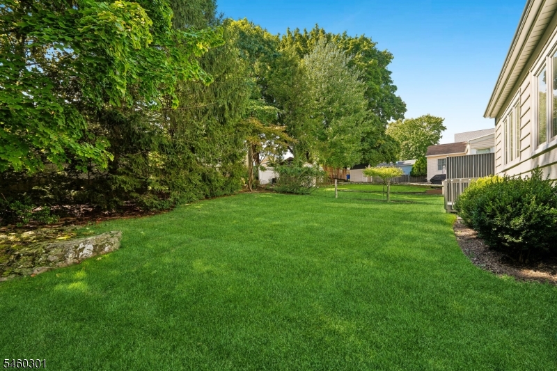 51 Morningside Rd Property Photo 36