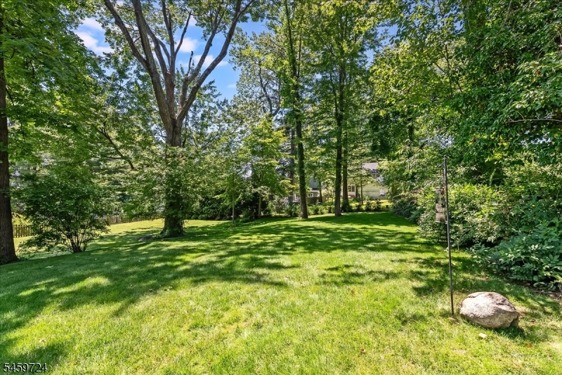 54 Elm St Property Photo 23