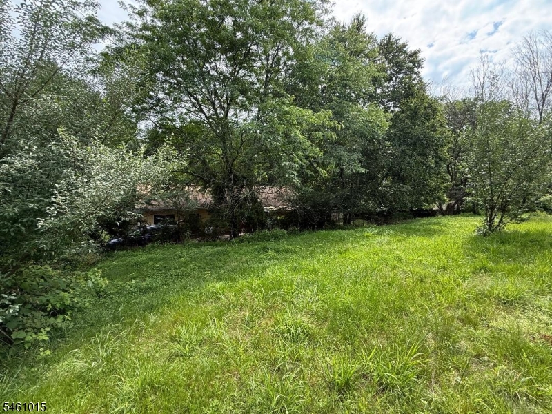150 Karrville Rd Property Photo 16