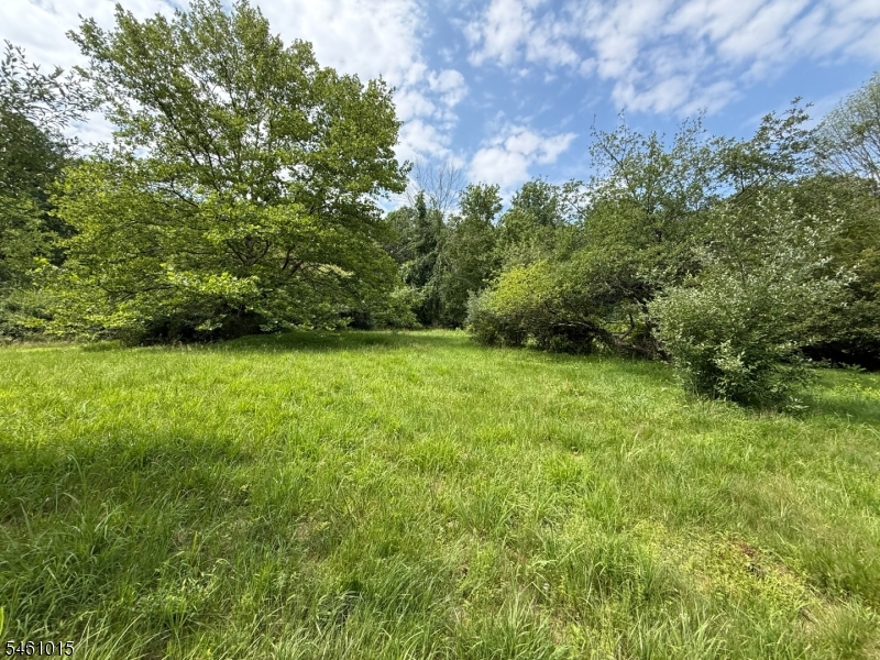 150 Karrville Rd Property Photo 17