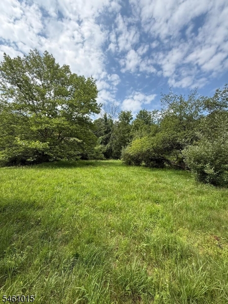 150 Karrville Rd Property Photo 18