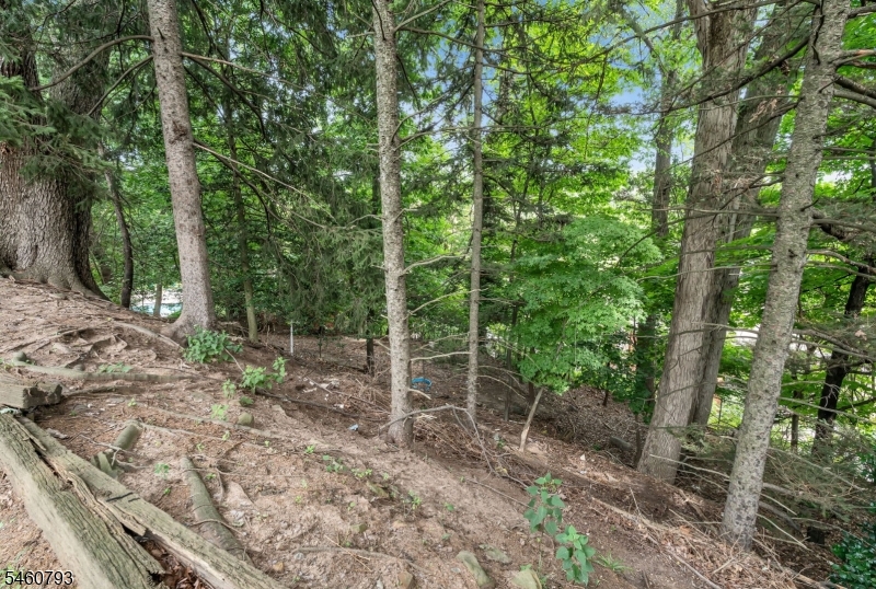 15 High Ct Property Photo 32
