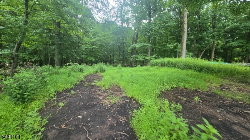 Zion Road Property Photo 13