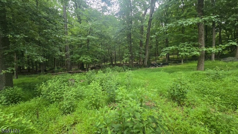 Zion Road Property Photo 14
