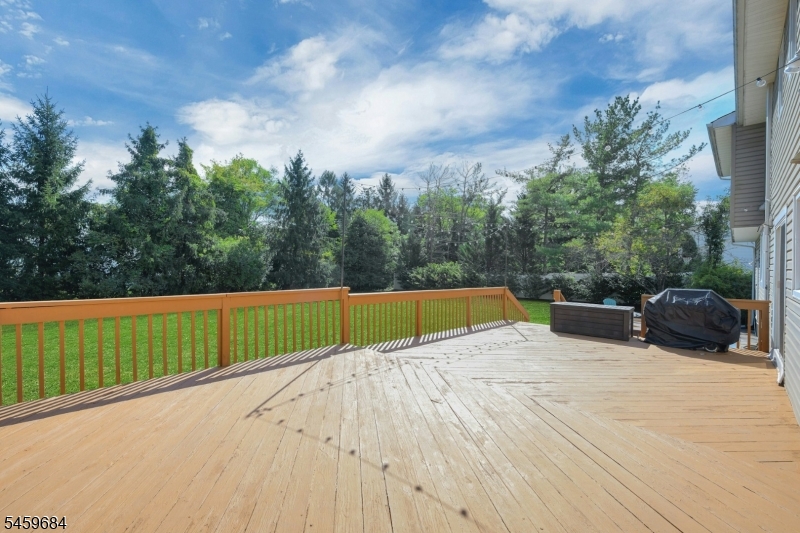 10 Cambray Rd Property Photo 29