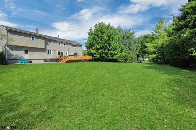 10 Cambray Rd Property Photo 33