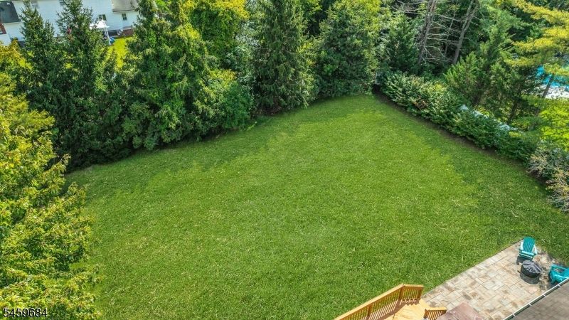 10 Cambray Rd Property Photo 34