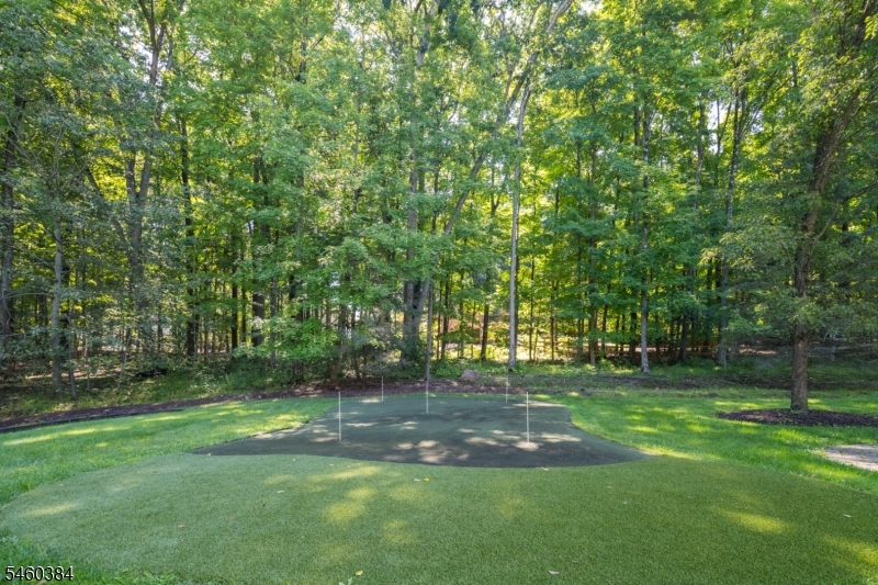 16 Trinity Pl Property Photo 45