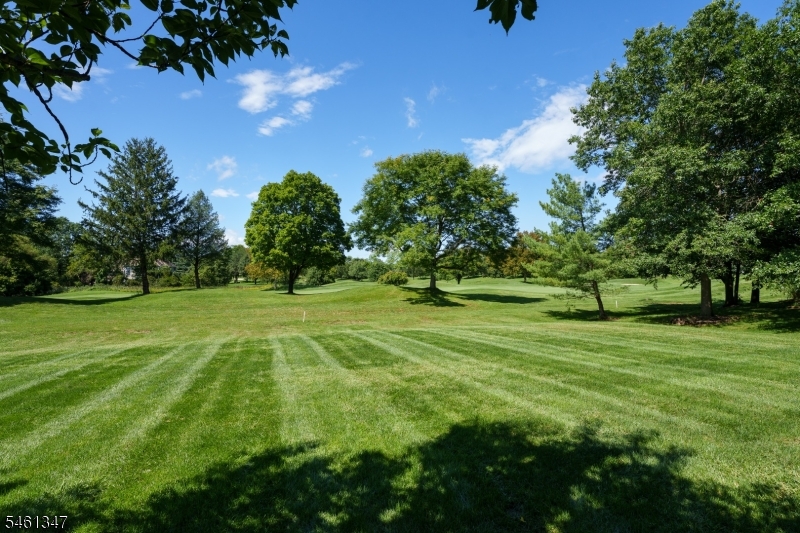 11 Tanglewood Ct Property Photo 33