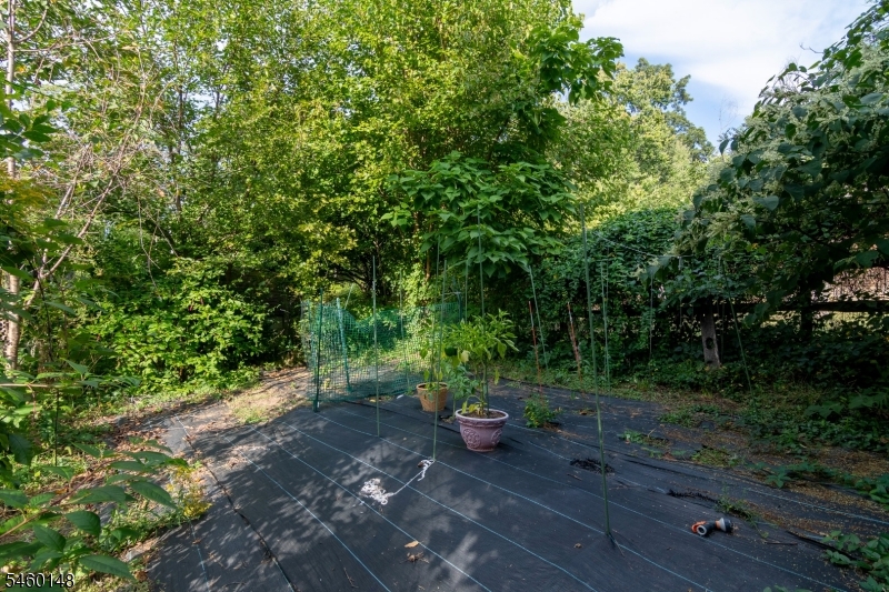 6 Dogwood Hl Property Photo 45