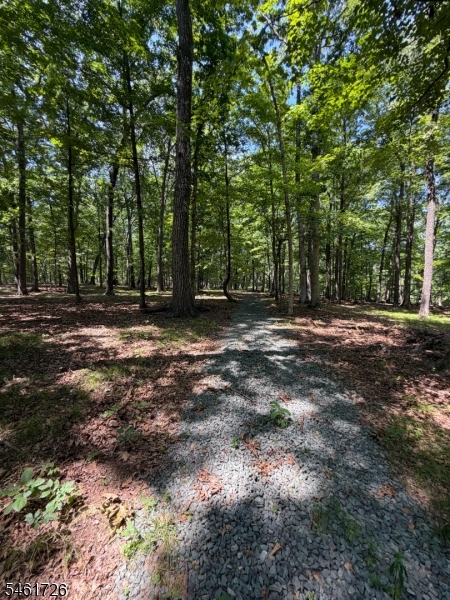 Shagbark Ln Property Photo 1