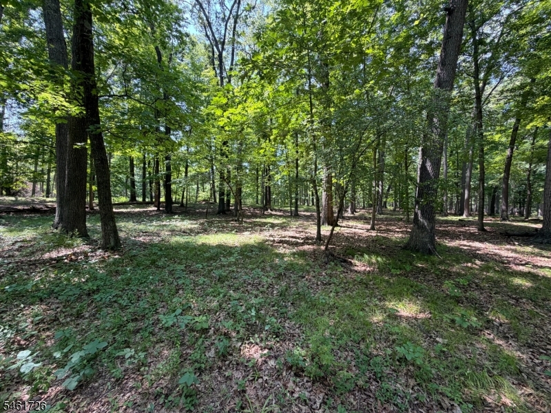 Shagbark Ln Property Photo 2