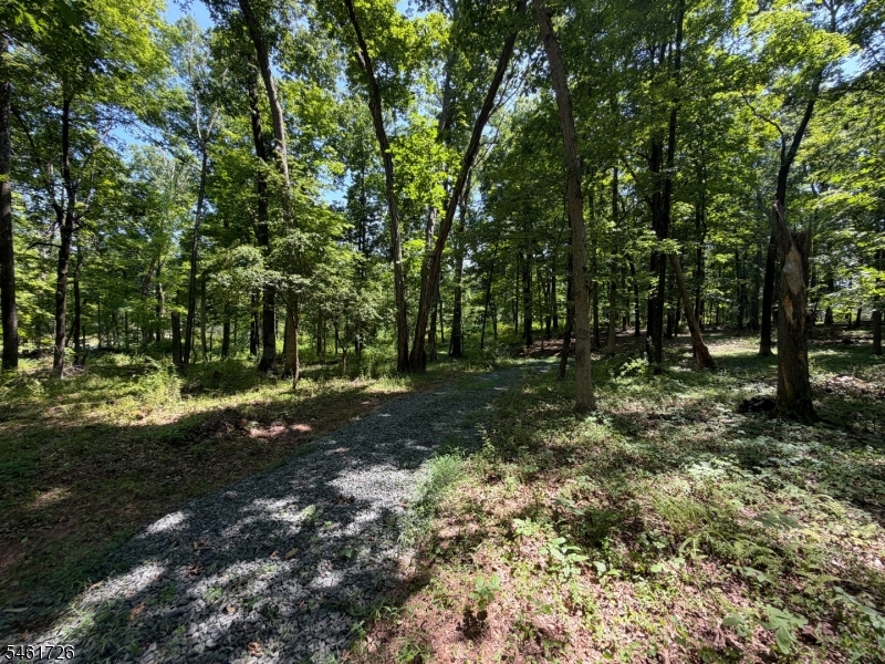 Shagbark Ln Property Photo 4