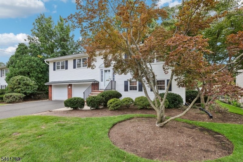 41 Rys Ter Property Photo 2