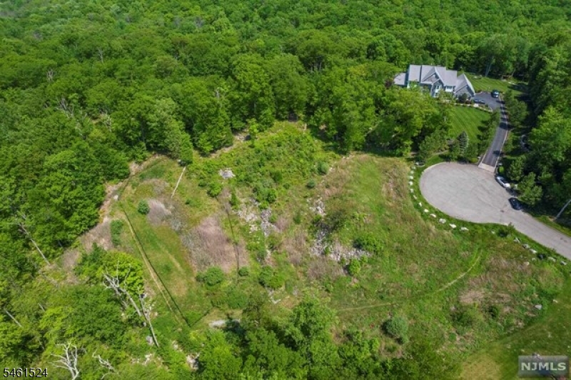 Nicholas Dr Property Photo 11