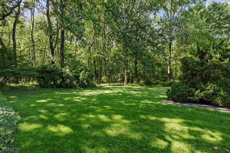 87 Orion Rd Property Photo 25
