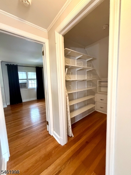 206 Delacy Dr Property Photo 25