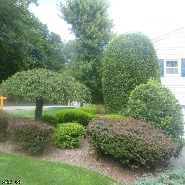 407 Lafayette Ave Property Photo 12