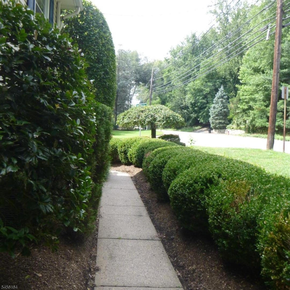 407 Lafayette Ave Property Photo 20