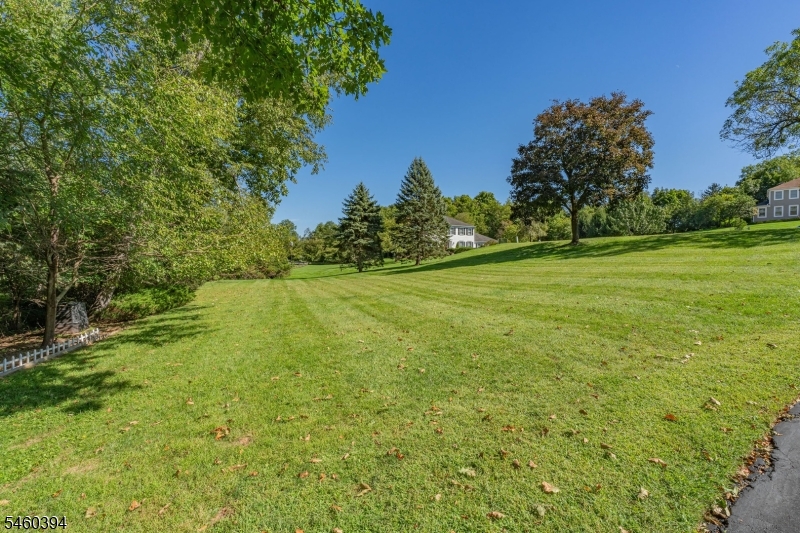 111 Carriage Hill Way Property Photo 44