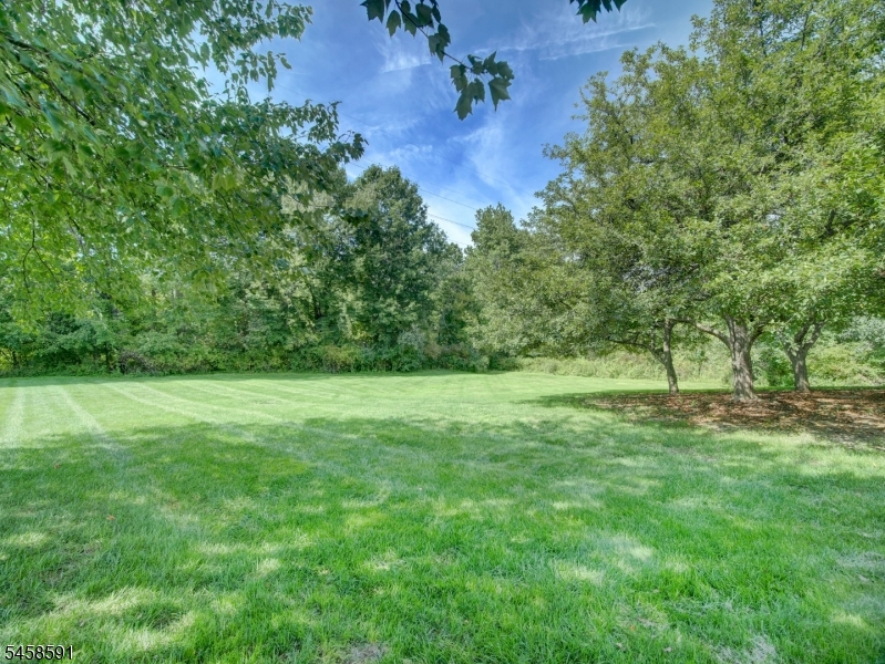 53 Springbrook Rd East Property Photo 26