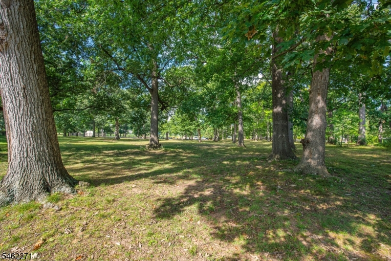 9 Malcolm Ter Property Photo 21