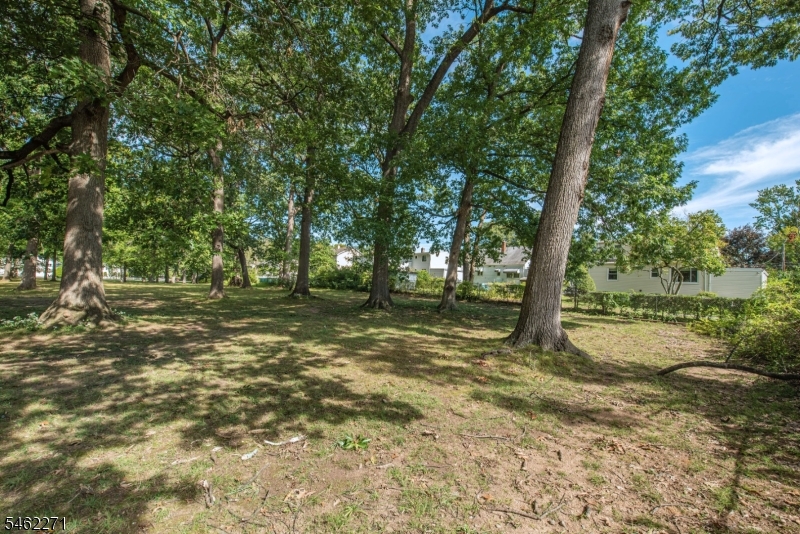 9 Malcolm Ter Property Photo 22