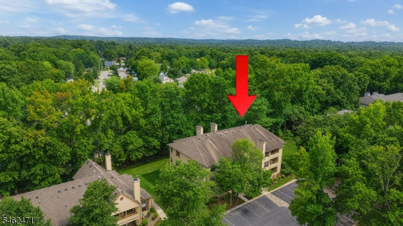 503 Chester Ct Property Photo 30