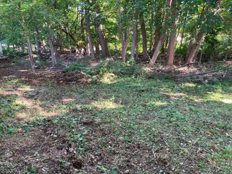 Watnong Rd Property Photo 1