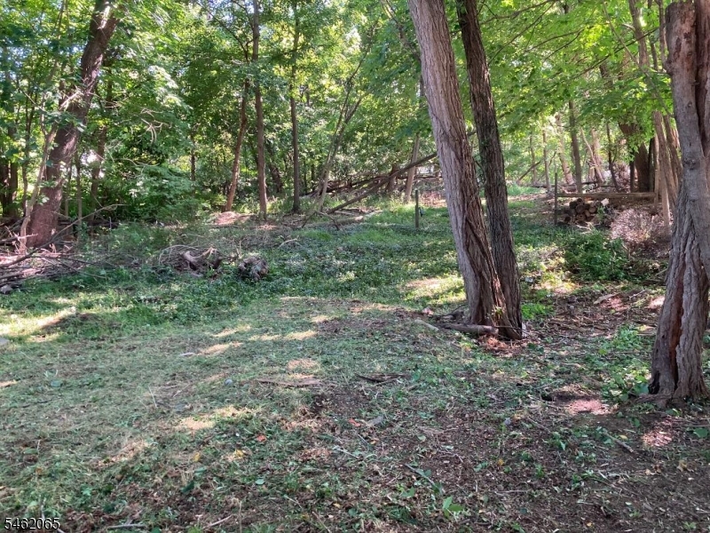Watnong Rd Property Photo 3