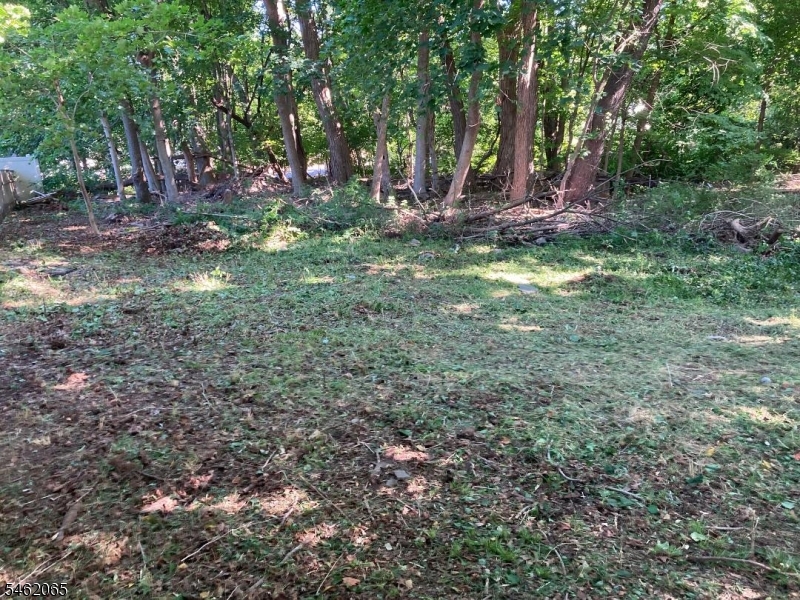 Watnong Rd Property Photo 4