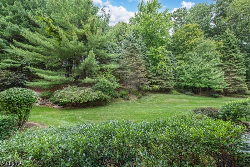 1115 Hamilton Drive Property Photo 2