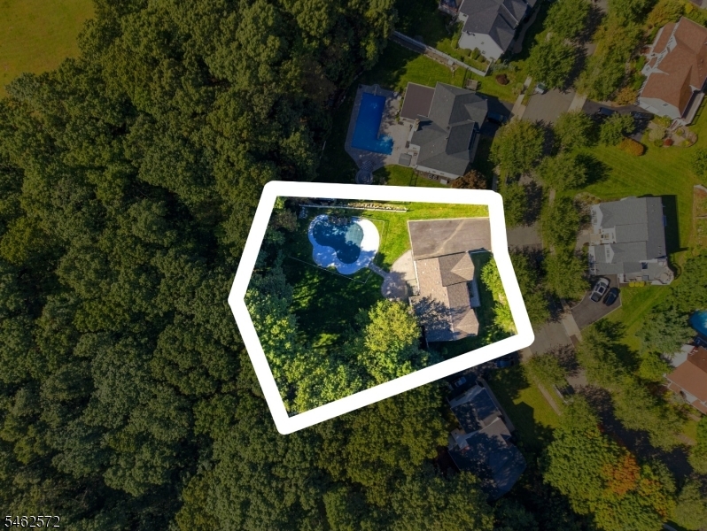 58 Fox Chase Ln Property Photo 4