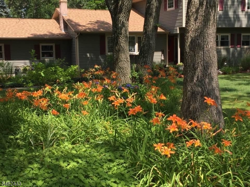 144 Stephens State Park Rd Property Photo 48