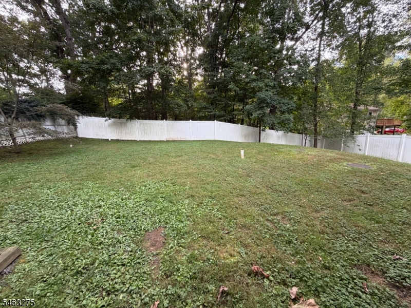 11 Richmond Rd Property Photo 21