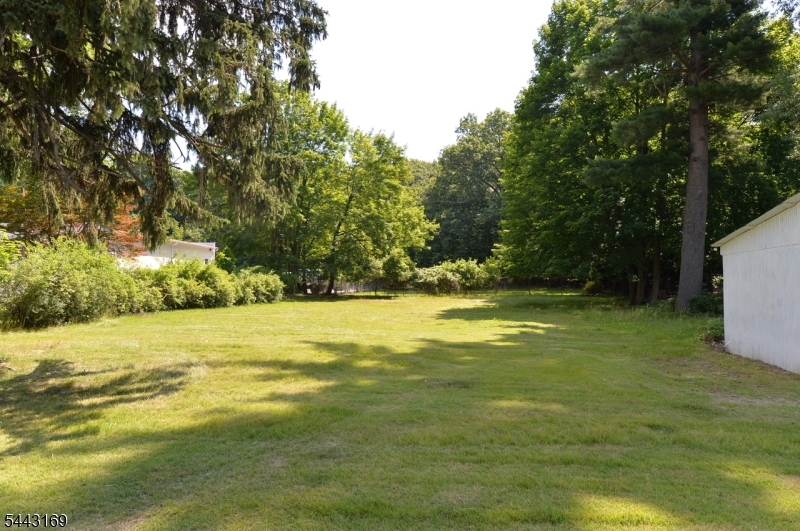 71 Ringwood Ave Property Photo 30