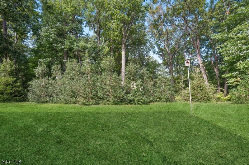 161 Spencer Rd Property Photo 23