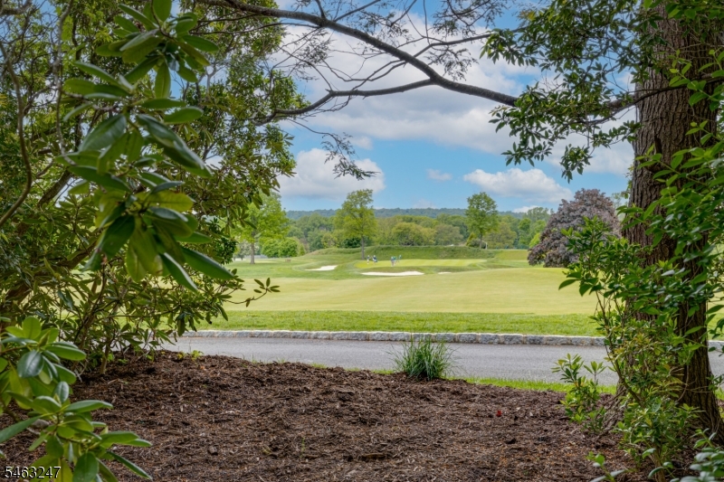 113 Golf Edge Dr Property Photo 2