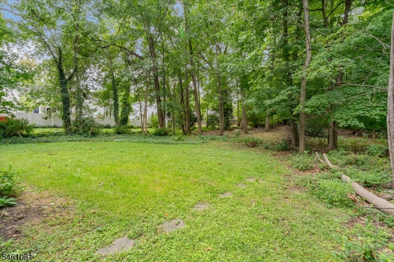 71 Willoughby Road Property Photo 37
