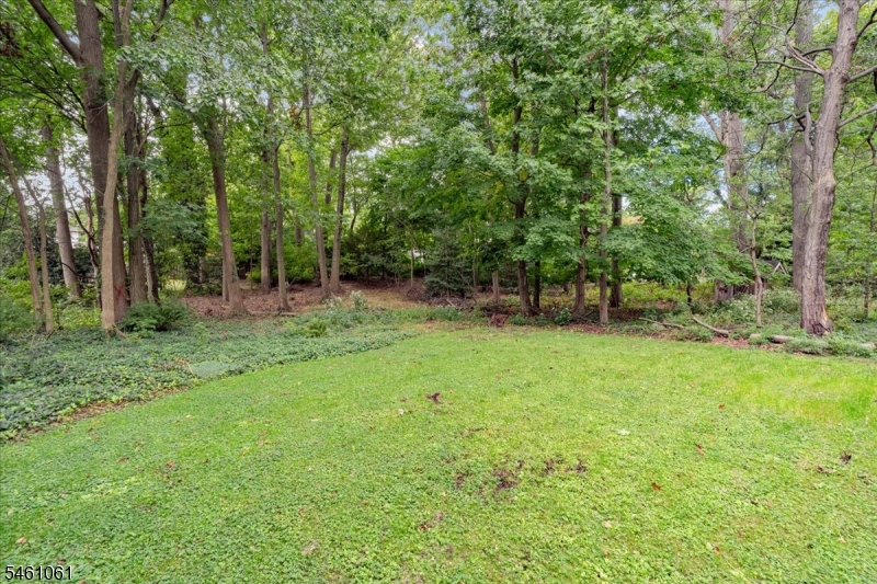 71 Willoughby Road Property Photo 38