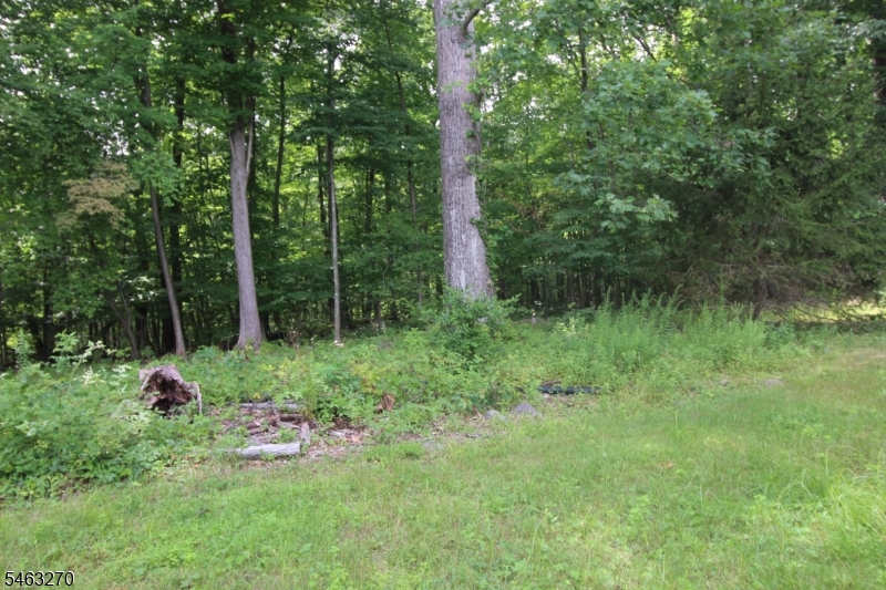 24 Hillside Rd Property Photo 12