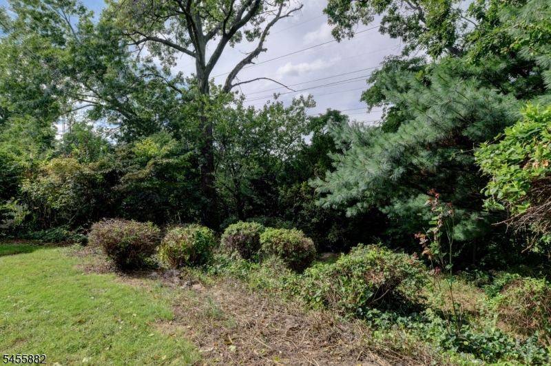 8 Tyler Ct Property Photo 22