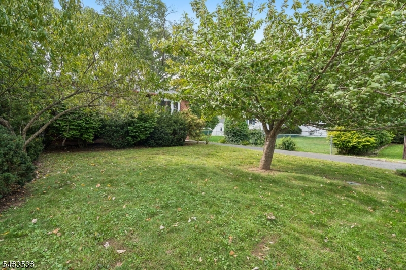 65 Marion Ave Property Photo 17
