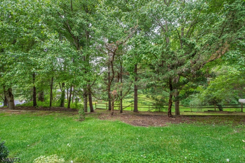 4 Pippins Way Property Photo 31